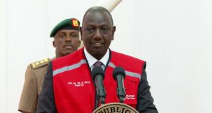 President Ruto: Plant trees to mitigate the effects of climate change