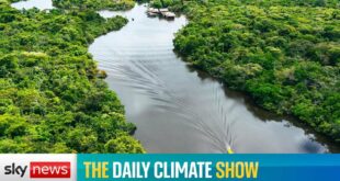 The Daily Climate Show: Amazon in danger