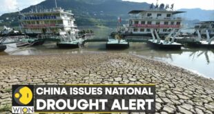 WION Climate Tracker: China battles scorching temperatures and heat wave | World News