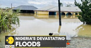 WION Climate Tracker | Nigeria's devastating floods: After effects of climate change | WION