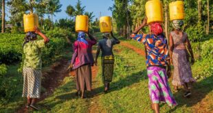 Water and Climate Change Documentary in Malawi #Water #climateaction