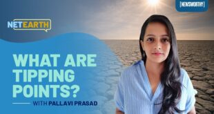 What are Climate Tipping Points I Climate Change is Newsworthy I Net Earth x Anubha Bhonsle