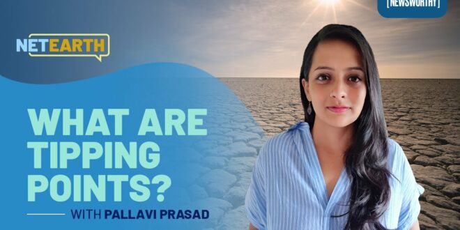 What are Climate Tipping Points I Climate Change is Newsworthy I Net Earth x Anubha Bhonsle