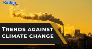 What are some of the most critical climate Change action trends for 2022