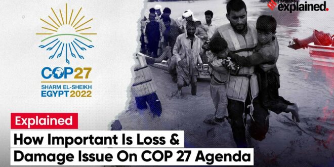 Why Is Loss & Damage On COP27 Agenda Significant? | Climate Change Conference