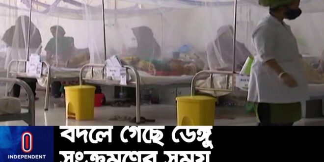 জুলাই-আগস্টের পরিবর্তে সর্বোচ্চ সংক্রমণ ঘটছে এখন অক্টোবর-নভেম্বরে || Dengue | Climate Change
