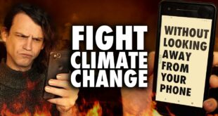 5 Ways to Fight Climate Change NOW