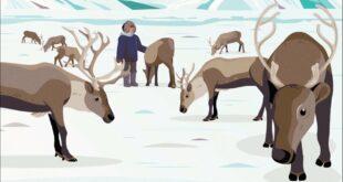 Arctic Connected | Impacts of climate change on Indigenous communities