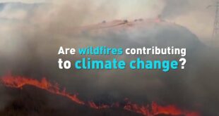 Are wildfires contributing to climate change?