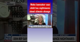 Child wakes up with ‘nightmares’ over climate change #shorts