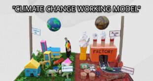 Climate Change Working Model | Science Chemistry Biology Physics Model | Project