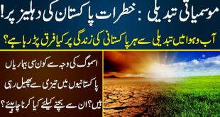 Climate Change and its Impacts in Pakistan | Economy | Health | Neo Digital