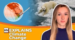 Climate change explained in 5 minutes | CBC Kids News