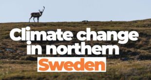 Climate change's impact on northern Sweden