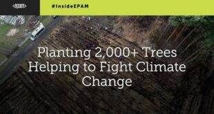 EPAM Poland Employees Planted 2,000+ Trees Helping to Fight Climate Change
