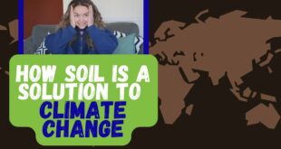 How Soil is a Solution to Climate Change