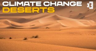 How is Climate Change Affecting our Deserts? | Extreme E
