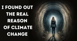 I Died And Found Out The REAL Reason Why There Is A Climate Change | near death research | nde labs
