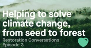 Restoration Conversations Episode 3: Helping to solve climate change, from seed to forest