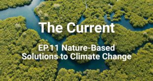 The Current: Episode 11 - Nature-Based Solutions to Climate Change