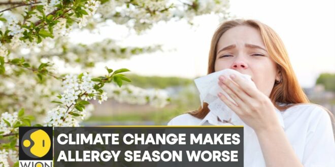 WION Climate Tracker: Climate change makes allergy season worse, pollen allergies to grow in future