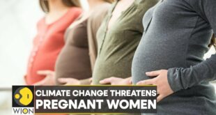 WION Climate Tracker| Climate change may occur as a threat to pregnant women: Report | WION