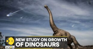 WION Climate Tracker: Climate change played keyrole in dominance of dinosaurs | English News