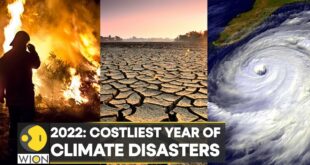 WION Climate Tracker: Counting the cost of climate change in 2022 | Latest English News | World News