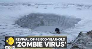 WION Climate Tracker: Scientists revive 48,500-year-old ‘zombie virus’ buried in ice | English News