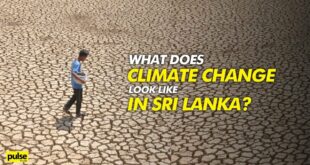 What does Climate Change look like in Sri Lanka?