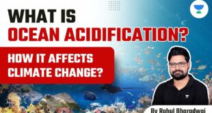 What is Ocean Acidification? How it affects Climate Change? Rahul Bharadwaj