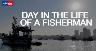 Whispering Waves: Mumbai's Fishermen, Climate Change, Development & Declining Catch