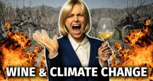 5 Ways CLIMATE CHANGE Will Affect WINE Lovers