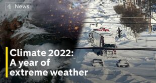 Climate Crisis: extreme weather ‘new normal’ say experts