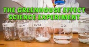 Greenhouse Effect Experiment for Kids exploring Climate Change