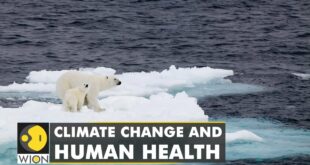 Impact of climate change: How global warming affects us | WION Climate Tracker | Latest English News