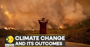 WION Climate Crisis: A decisive battle against climate change | Latest World News