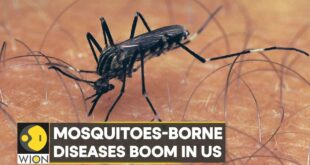 WION Climate Tracker | Mosquitoes-borne diseases boom in US, climate change aids population | WION